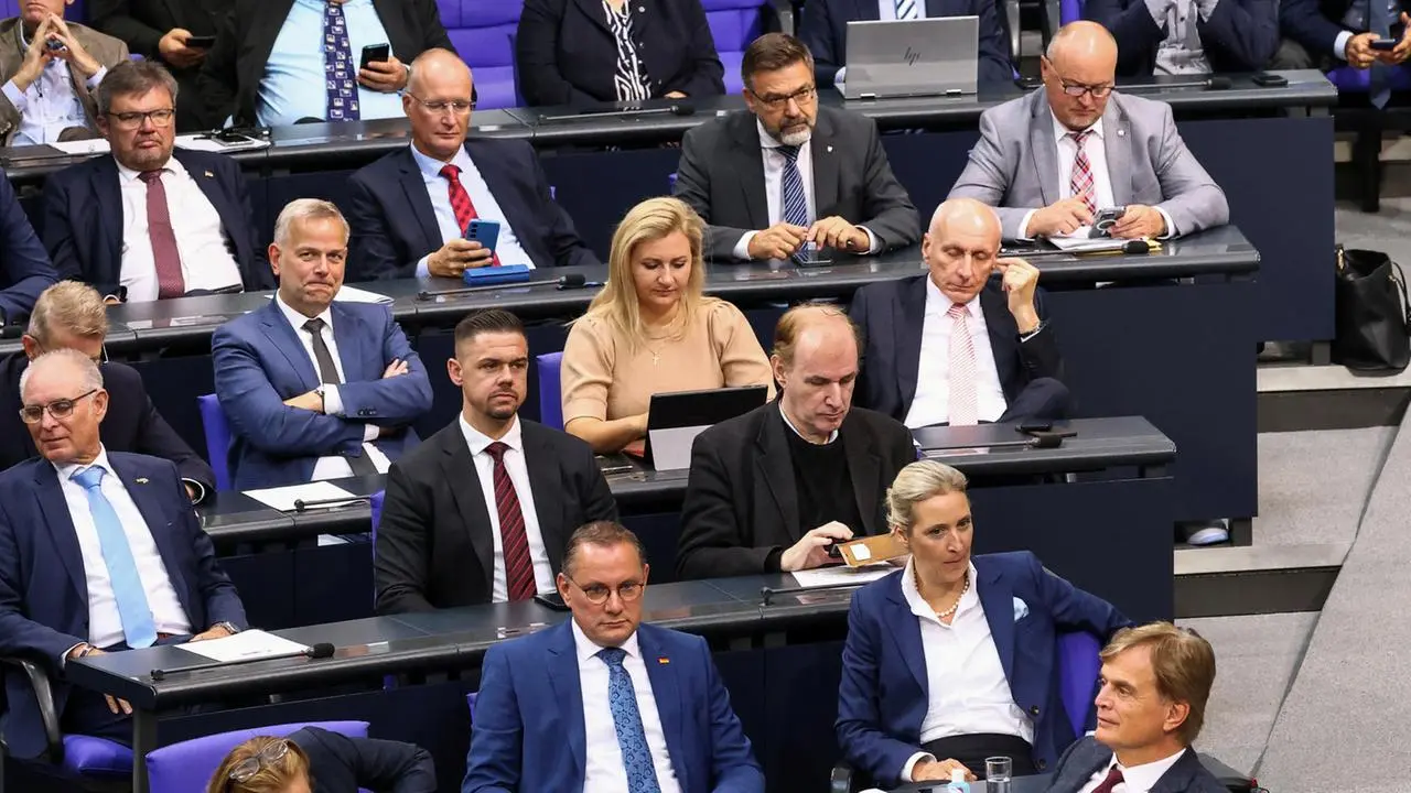 AfD im Bundestag: Taktik rund um die Vertrauensfrage