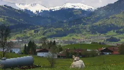 Oberallgäu: Wie Sensoren in der Natur vor Katastrophen warnen sollen