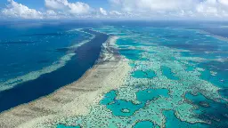 Anstieg der Wassertemperatur: Am Great Barrier Reef droht ein Massensterben