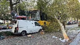 Busunfall in Dresden: 30 Menschen verletzt | MDR.DE