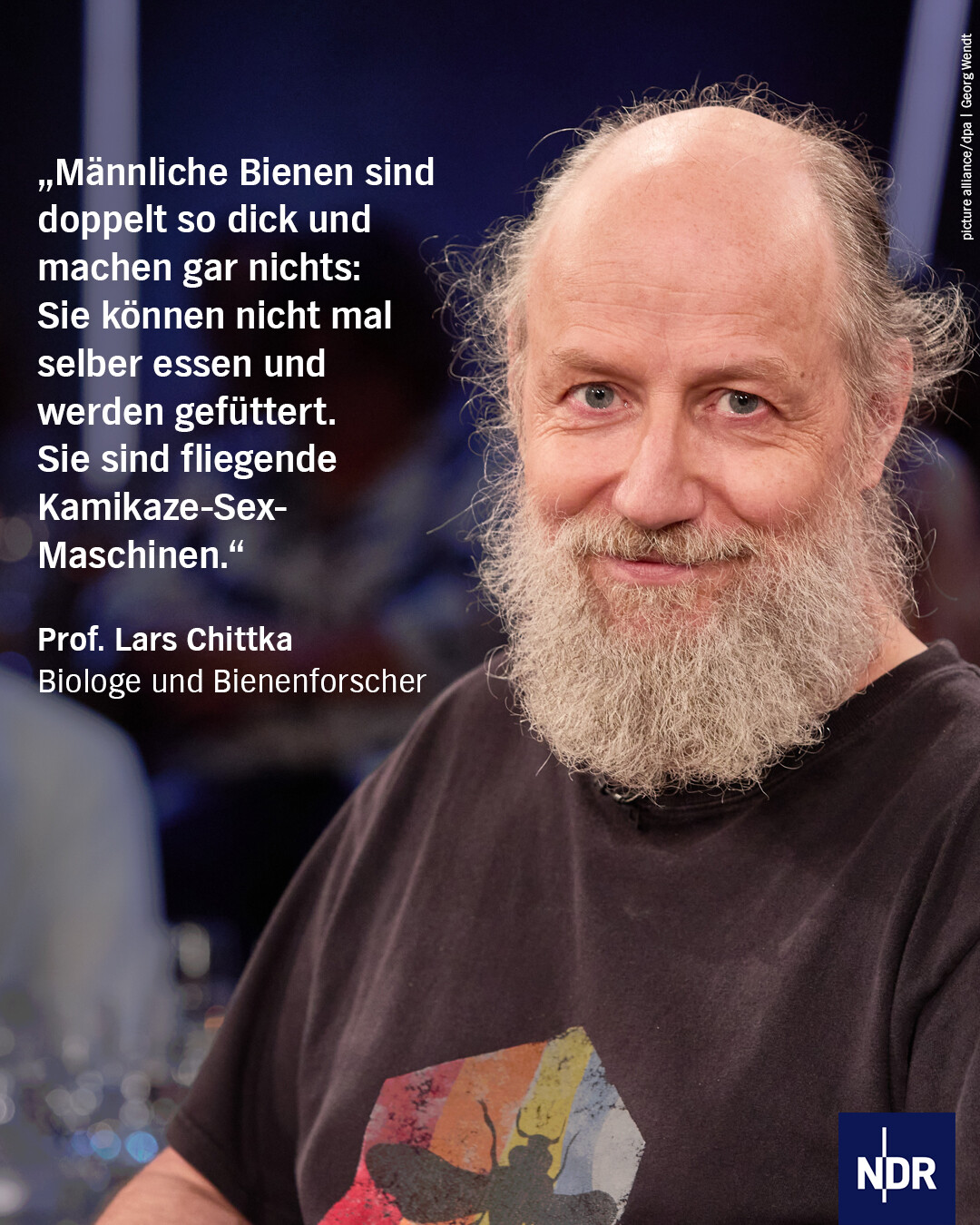 NDR Talk Show: Wie kann man einem Tier wie der Biene, das nur wenige Wochen lebt, Intelligenz nachweisen?