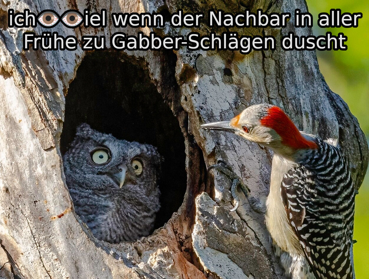 ich👁️👁️iel