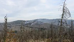 Waldbrände unter Kontrolle: Lage am Brocken entspannt sich