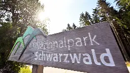 Nationalpark Schwarzwald wird erweitert - Minister wehrt sich gegen Pläne der Grünen