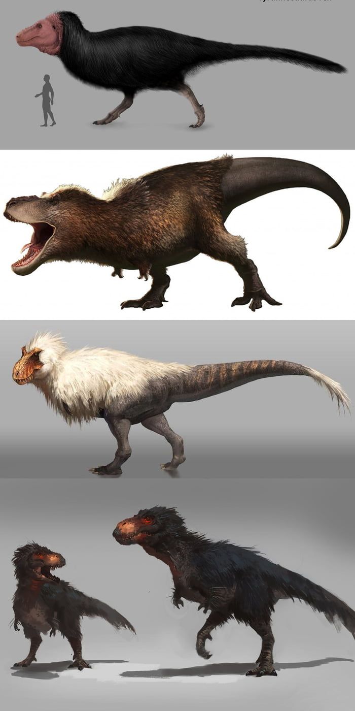 dino