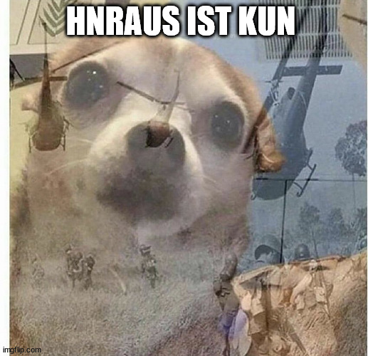 hnraus☹️kun