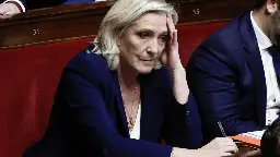 Would banning Marine Le Pen from running for president be a gift for France's far right?