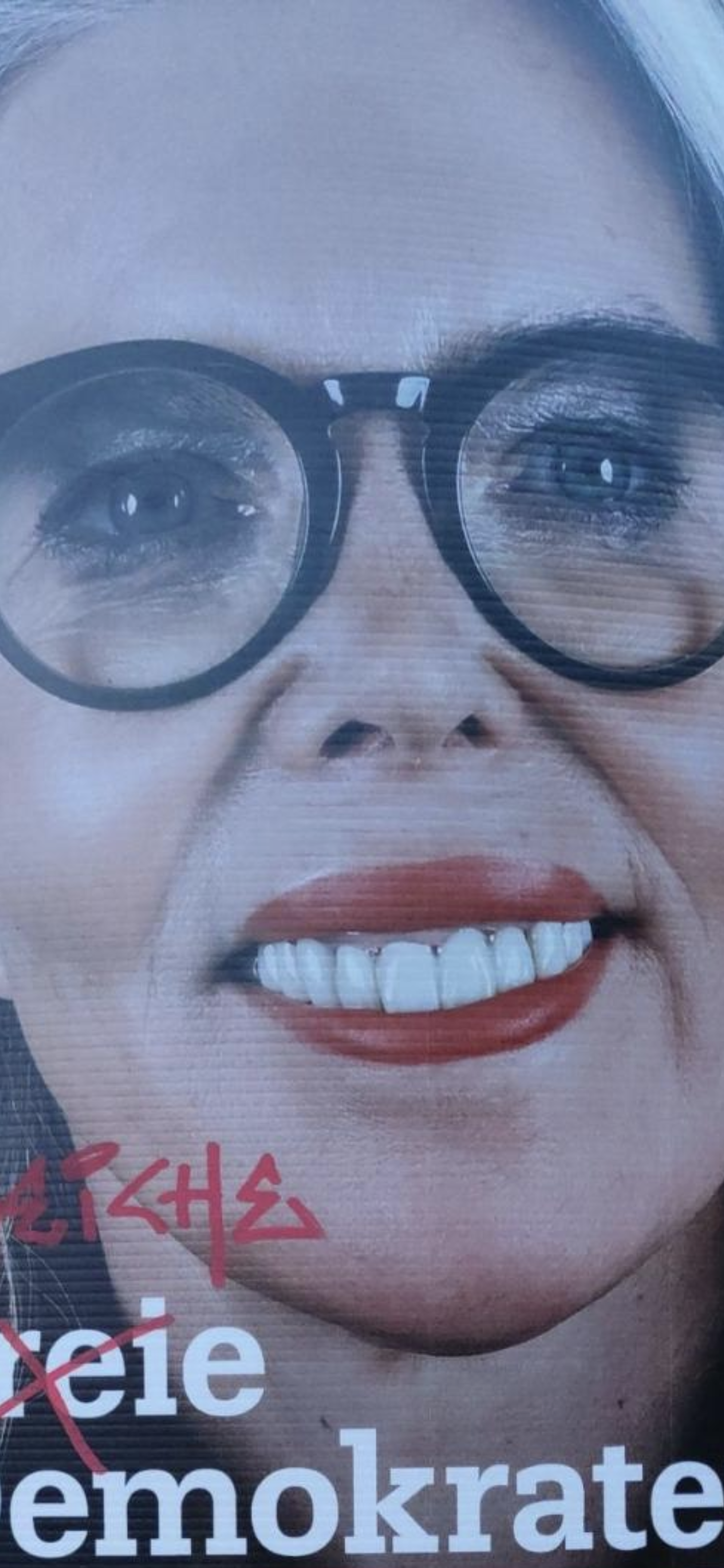 Eine Nahaufnahme von einem ungläubigen Gesicht, das von einem Wahlplakat abfotografiert wurde