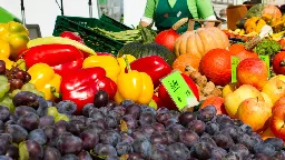 Jeden Tag Fleisch war gestern: Immer mehr Flexitarier in Bayern