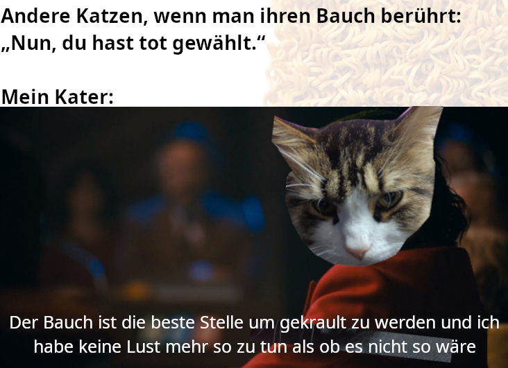 ich😺iel