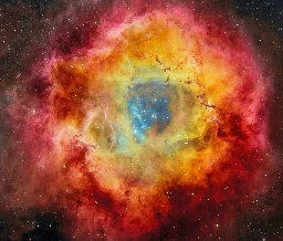 Eine kosmische Rose