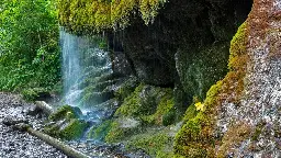 Wutachschlucht: Deutlich weniger Besucherinnen und Besucher