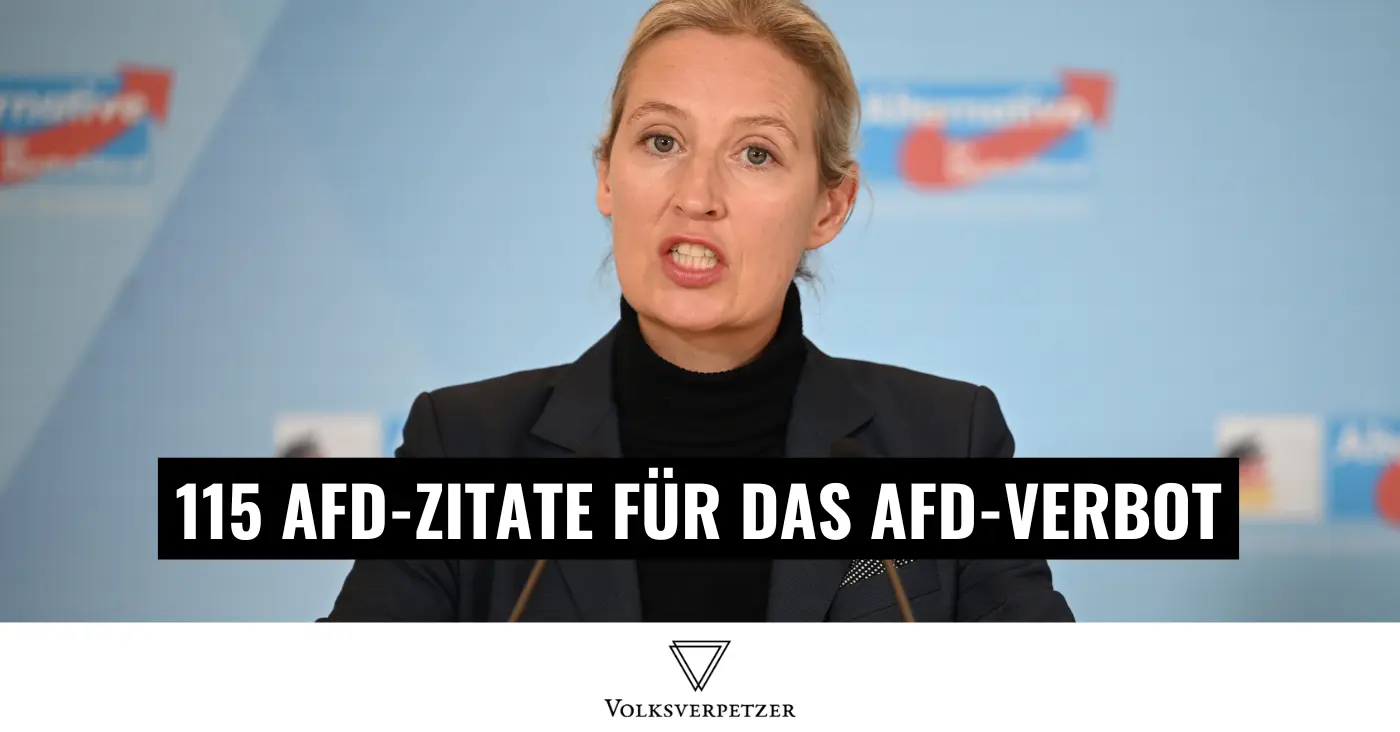 115 AfD-Zitate, die zum AfD-Verbot führen können