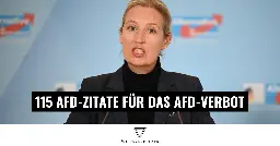 115 AfD-Zitate, die zum AfD-Verbot führen können