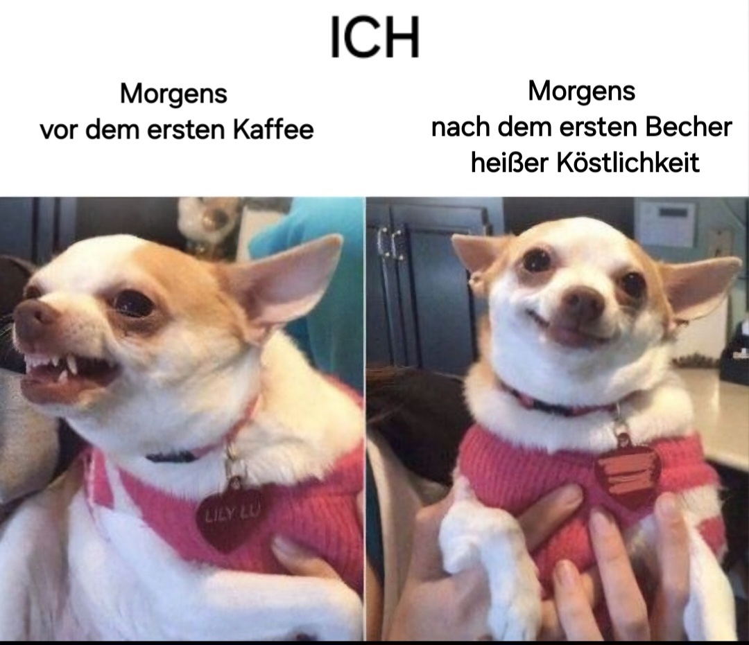 ich⚠️iel