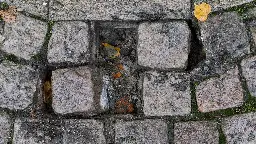 Sachsen-Anhalt: Sämtliche Stolpersteine in Zeitz gestohlen