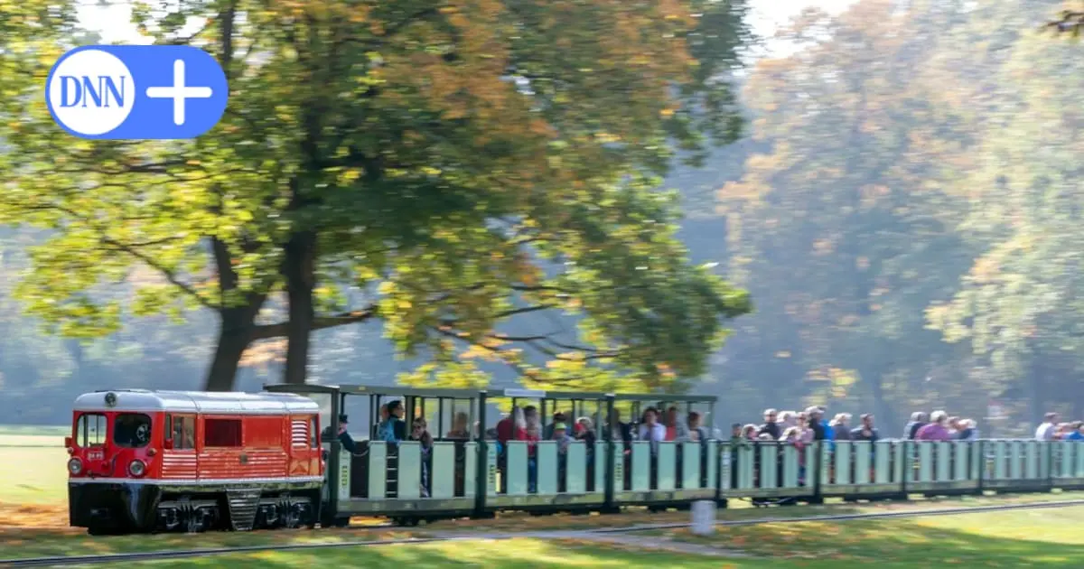 Parkeisenbahn Dresden: Sexueller Missbrauch - funktioniert das Schutzkonzept?