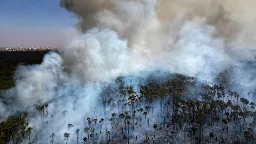 Dürre und Waldbrände: Verbrannte Fläche in Brasilien dreimal so groß wie Bayern