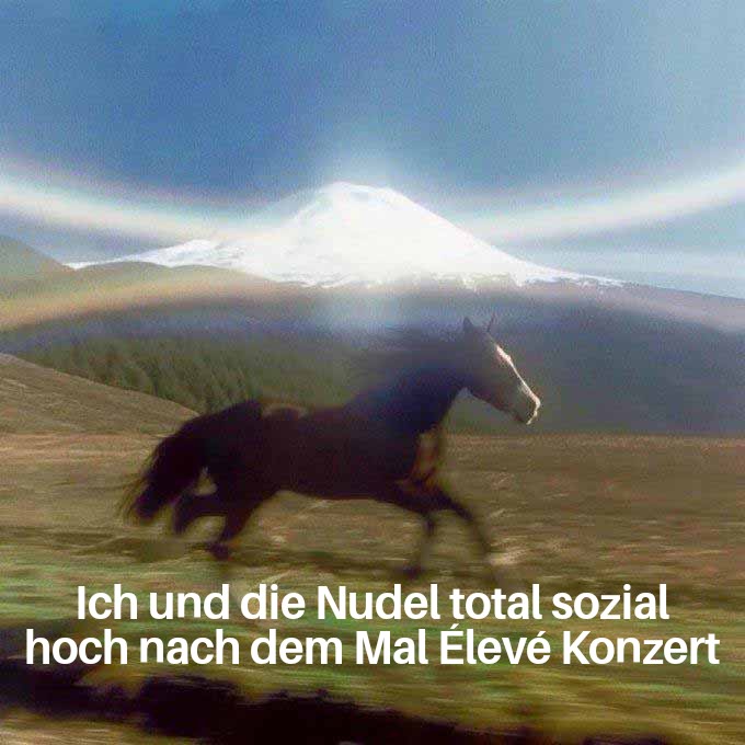 Ich🐮🍜🎉iel