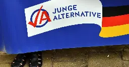 AfD denkt über Ersatz für Junge Alternative nach