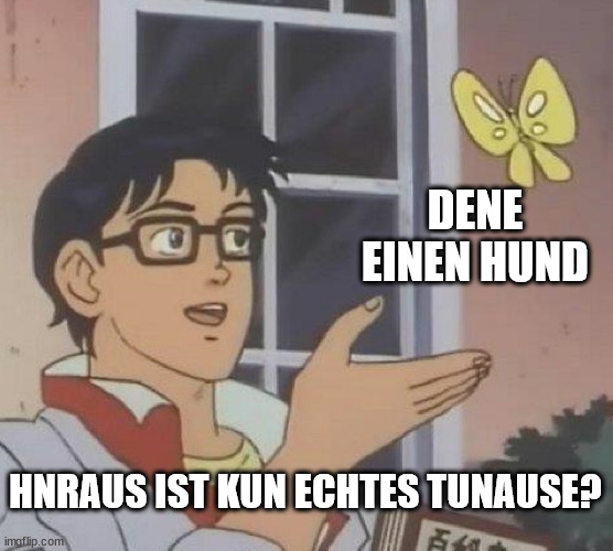 hnraus🦋kun