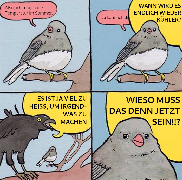 Meme Format eines kleinen Vogels, der von einem Großen Vogel übertönt wird. Kleiner Vogel: "Also, ich mag ja die Temperaturen im Sommer. Ich kann dr" Großer Vogel: "WANN WIRD ES ENDLICH WIEDER KÜHLER? ES IST JA VIEL ZU HEIß, UM IRGENDWAS ZU MACHEN! WIESO MUSS DAS DENN JETZT SEIN!?"