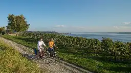 Ärger um Teilsperrung des Bodensee-Radwegs in Konstanz