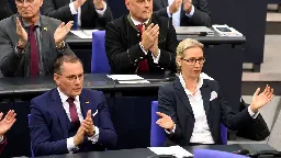 AfD-Verbotsverfahren: Verfassungsrechtler sehen Aussicht auf Erfolg