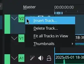 screenshot of the Timeline Header being right clicked to display the options to insert/delete tracks