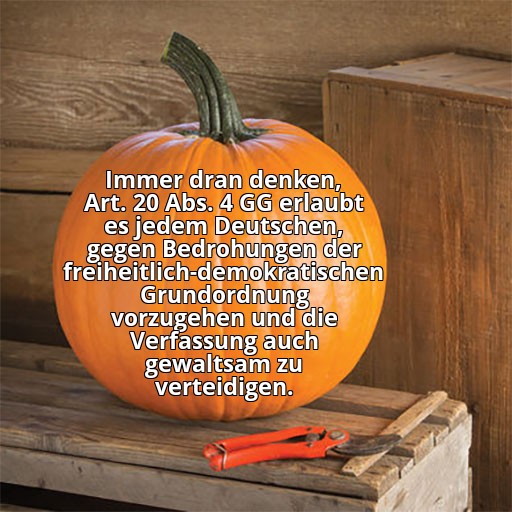 ich🎃iel