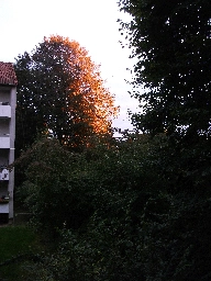 Sonnenuntergang am Hochspannungspark