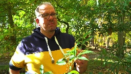 Baum-Test in Dortmund: Diese Arten trotzen dem Klimawandel am besten