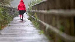 Nasses Herbstwetter für Baden-Württemberg erwartet - DWD warnt vor Dauerregen