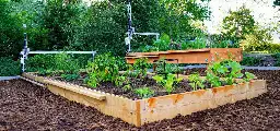 FarmBot | Open-Source CNC Farming