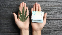 Cannabis teilweise legal: Wo kann man in Deutschland Gras, Weed nach Legalisierung jetzt kaufen? | Brisant.de