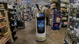 Supermarkt setzt Roboter ein für Suche nach Produkten