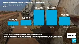 Business - Why French farmers oppose the EU-Mercosur free trade deal