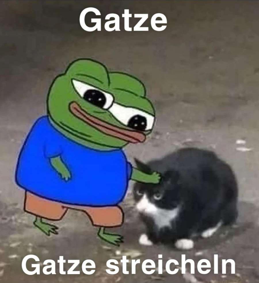 Das Bild zeigt eine Comic-Figur (ähnlich Pepe der Frosch), die eine Katze streichelt. Oben im Bild steht der Text "Gatze", unten "Gatze streicheln."