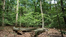 Zweiter Nationalpark: Taten die Agenturen zu wenig für ihr Geld?