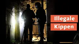 Razzia in illegaler Zigarettenfabrik