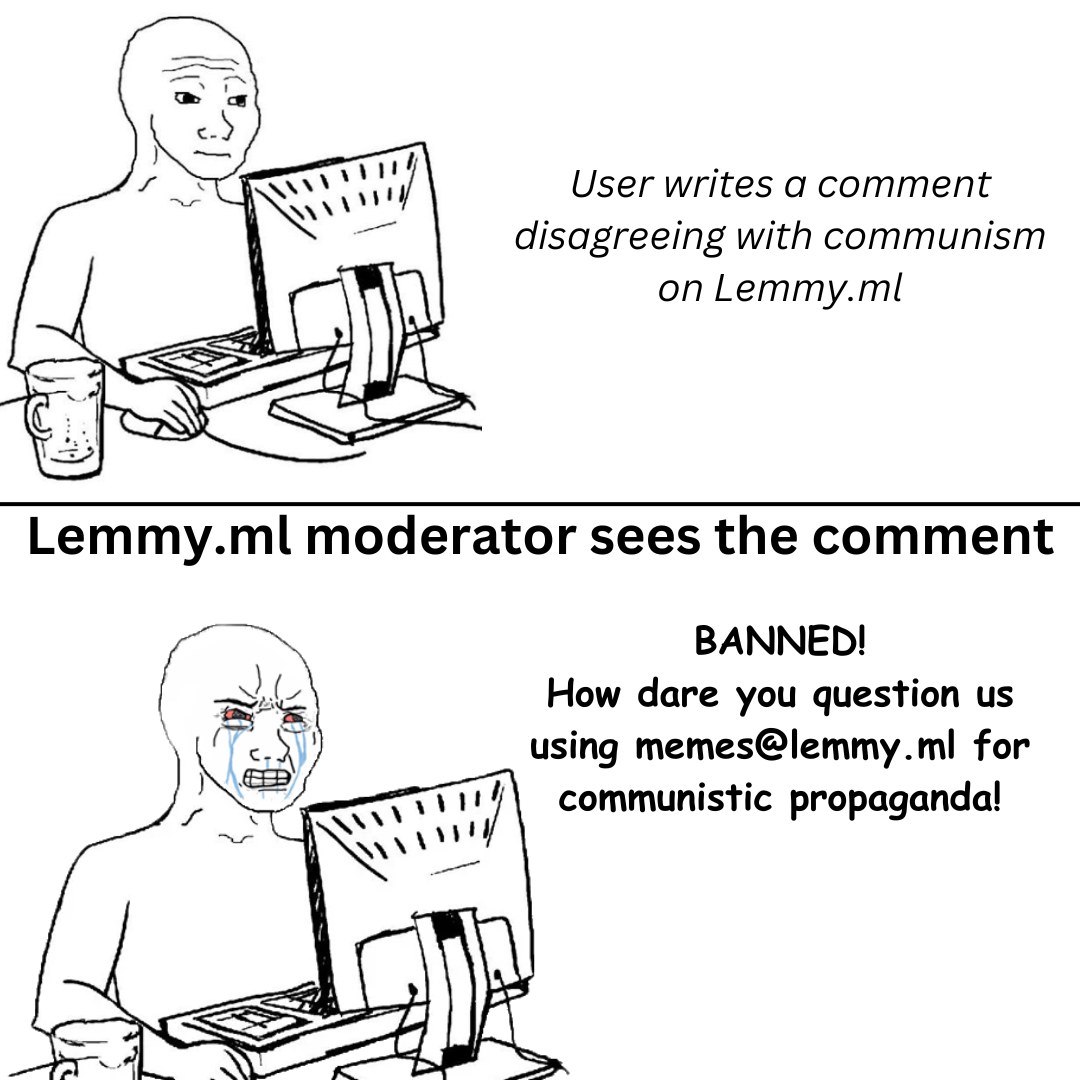 Got banned after commenting how sick I am of seeing those type of "memes" on ml