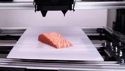 Wiener Supermärkte verkaufen Lachs-Filet aus dem 3D-Drucker