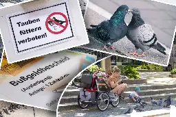 Tauben-Fütterverbot in Dresden: Tierschützer enttäuscht