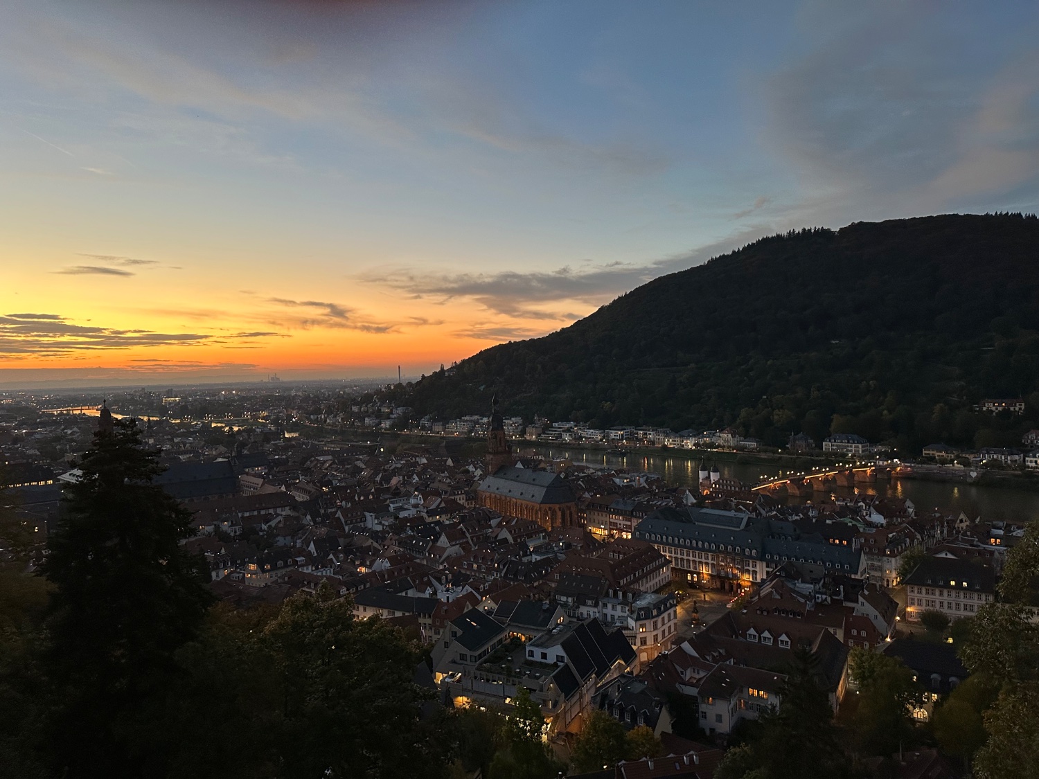 Blick vom Schloss auf Heidelberg