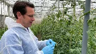 Europe’s seeds are being privatised by patents - and it could threaten food security