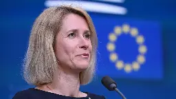 Desinformation über neue EU-Außenbeauftragte Kallas und ihre Familie