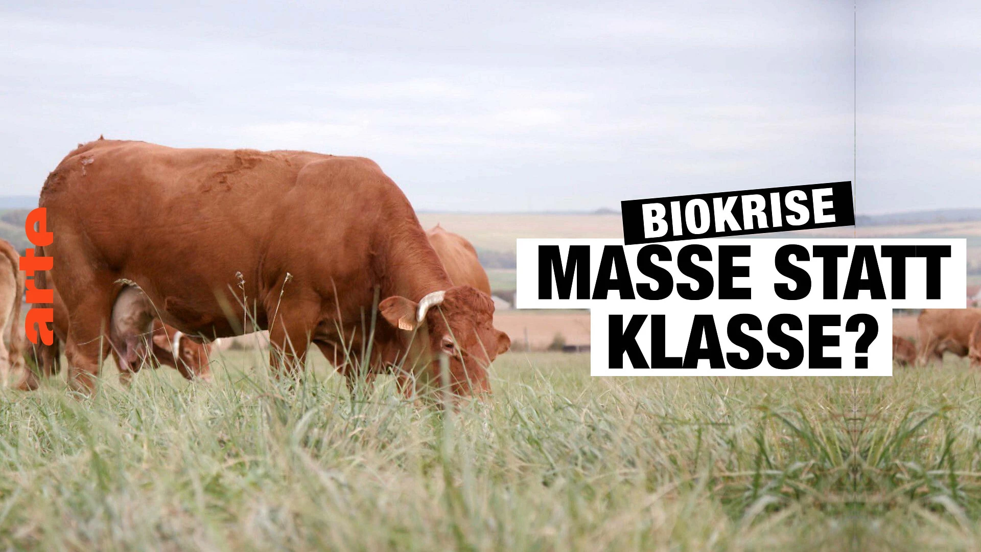 Biokrise - Masse statt Klasse? - Die ganze Doku | ARTE