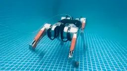 Amphibischer Roboterhund läuft unter Wasser