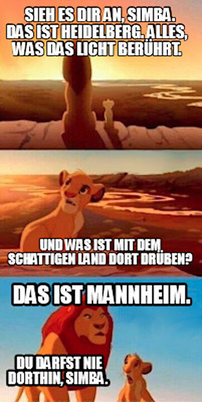 Auf dem Königstuhl