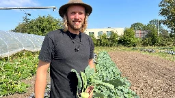 Vom Acker auf den Teller - Modellregion für Ernährungswende